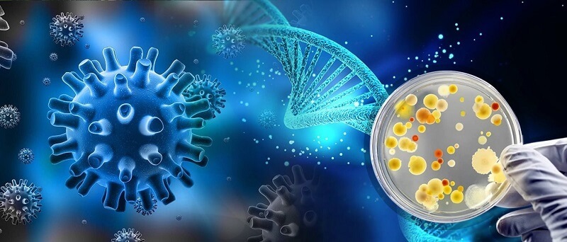  Công nghệ vi sinh là gì? Ứng dụng đa dạng của công nghệ vi sinh trong đời sống